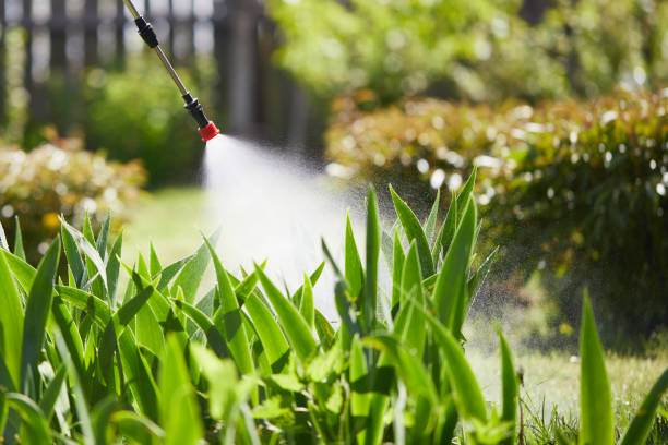 Tamper-Resistant Bait Stations for Rodents in St. Regis Park