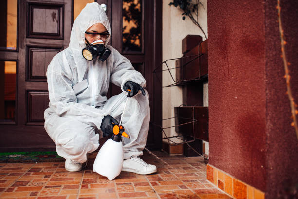 Attic and Crawl Space Rodent Treatment in St. Regis Park